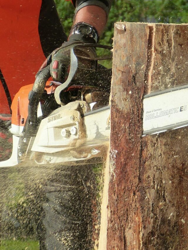 man cutting tress using chainsaw